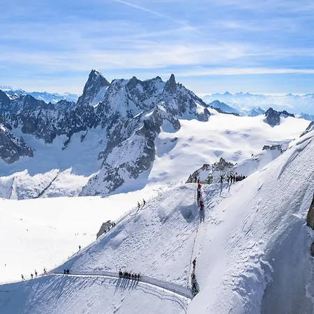 Alpes 296 * Chamonix